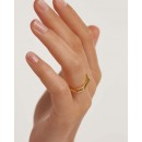 PD PAOLA sterling silver ring gold plated SIGNATURE LINK